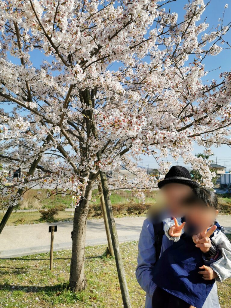 えんまどう公園の満開の桜