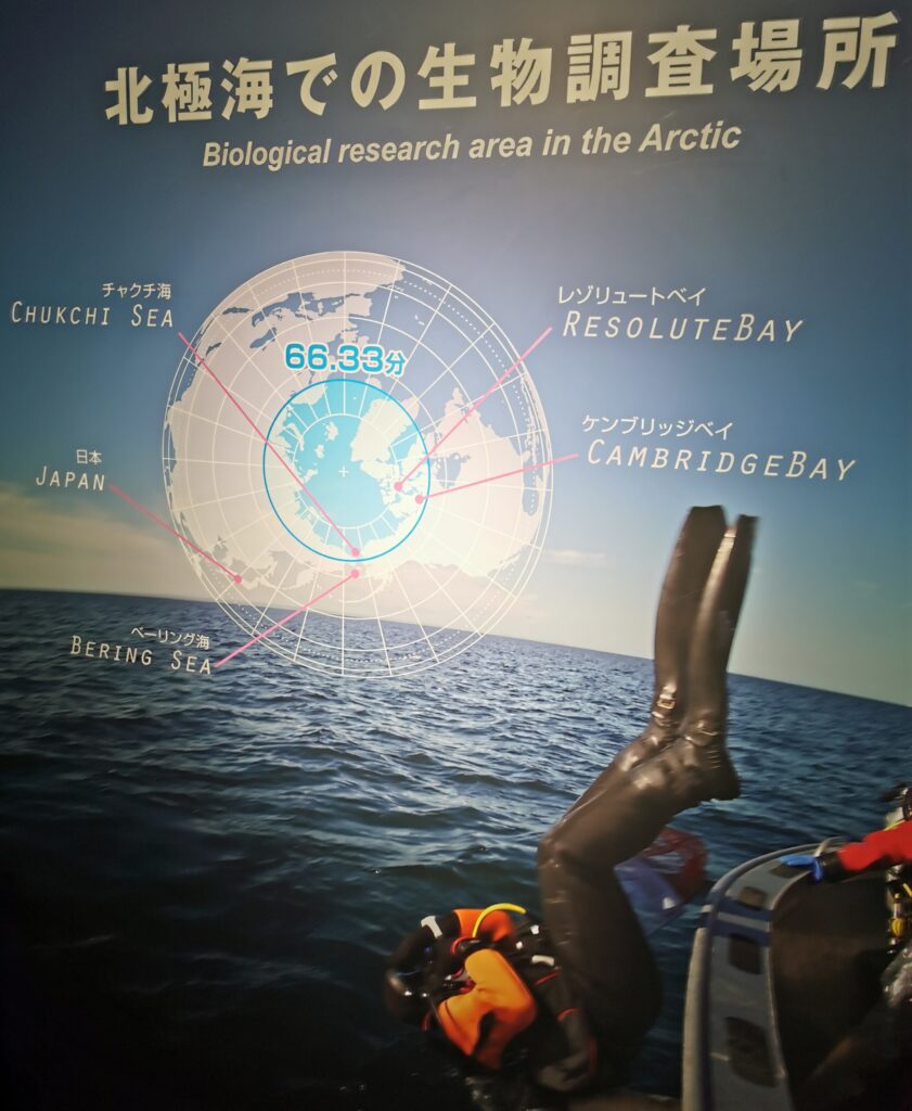 北極海での生物調査