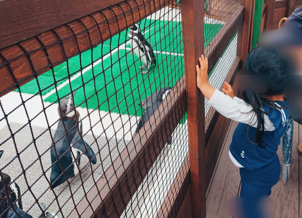 屋上展望広場（水辺のふれあい遊園）のペンギン