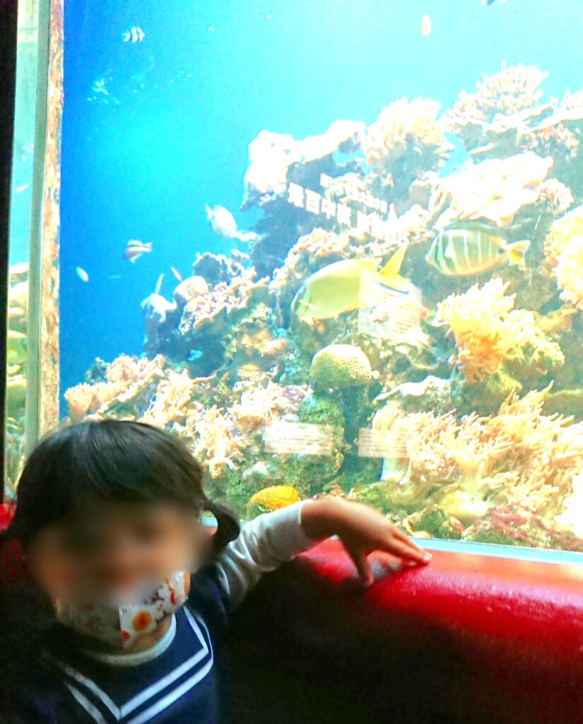 須磨水族館の「サンゴ礁水槽」