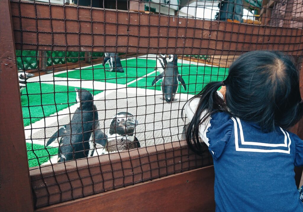 屋上展望広場（水辺のふれあい遊園）のペンギン
