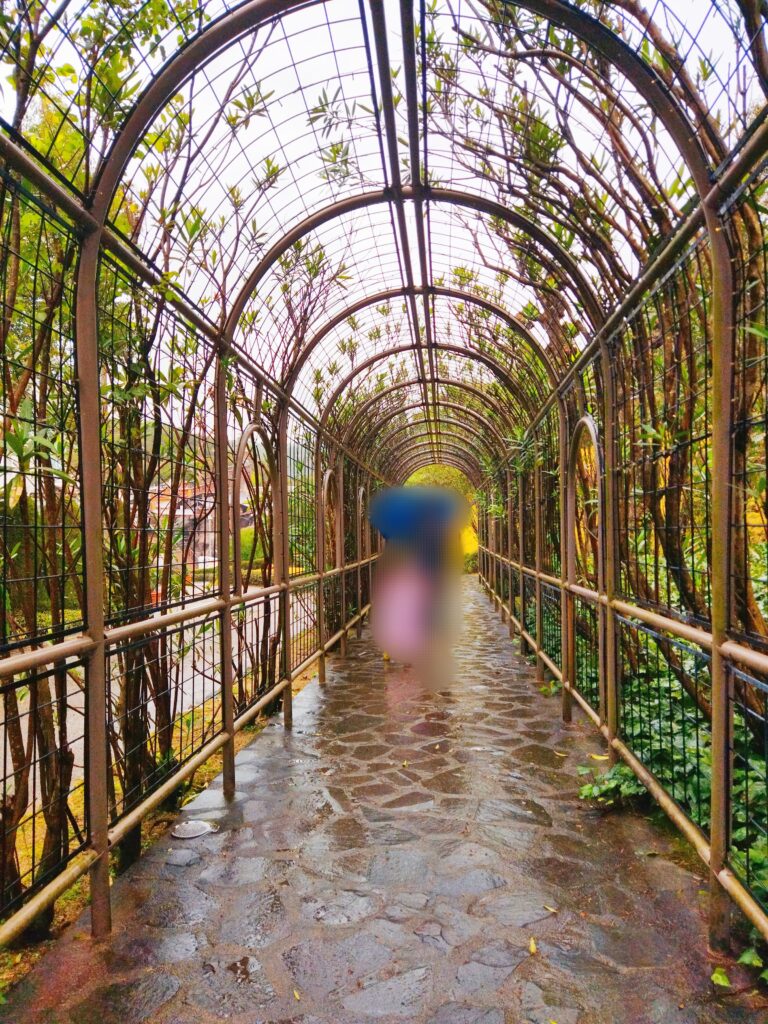 志摩スペイン村の緑のトンネル