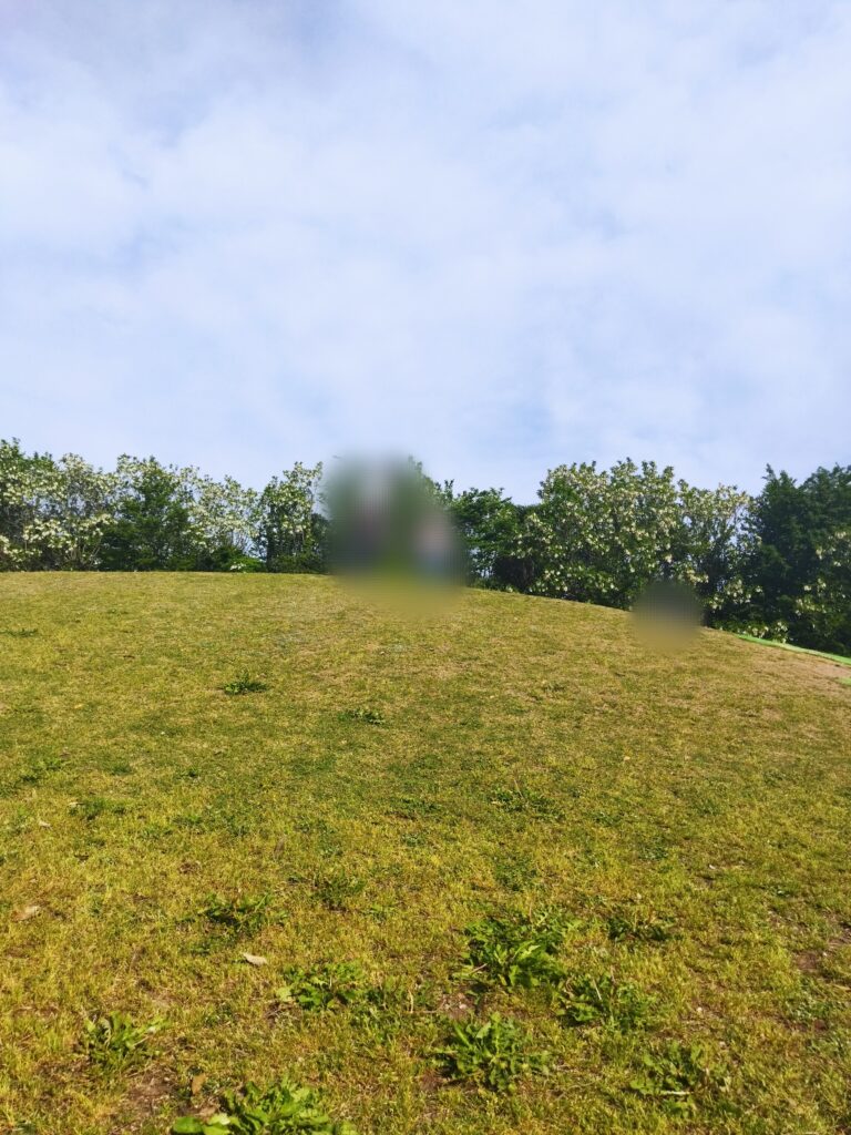 弾正公園の芝生の丘