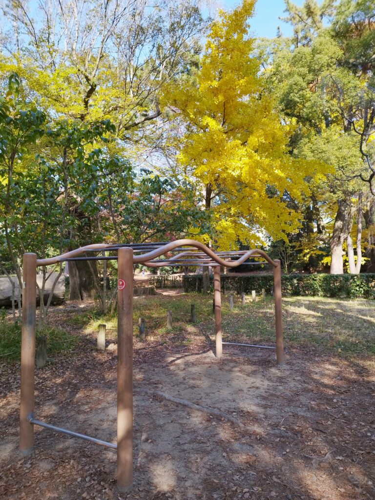 京都御苑の児童公園のうんてい