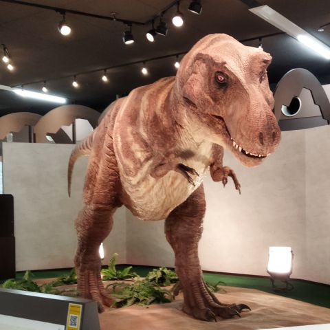 京都市青少年科学センターの話す恐竜