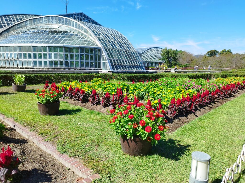 京都府立植物園の観覧温室