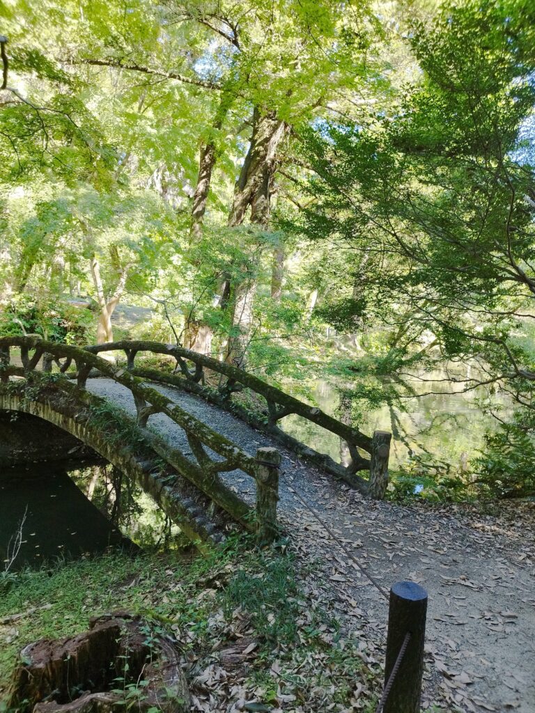 京都府立植物園の橋