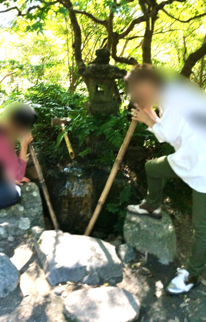 京都府立植物園の水琴窟