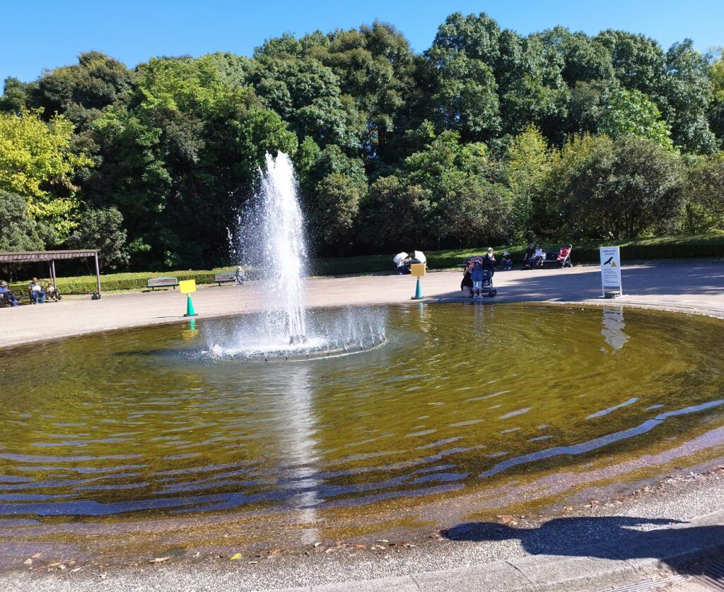 京都府立植物園の噴水