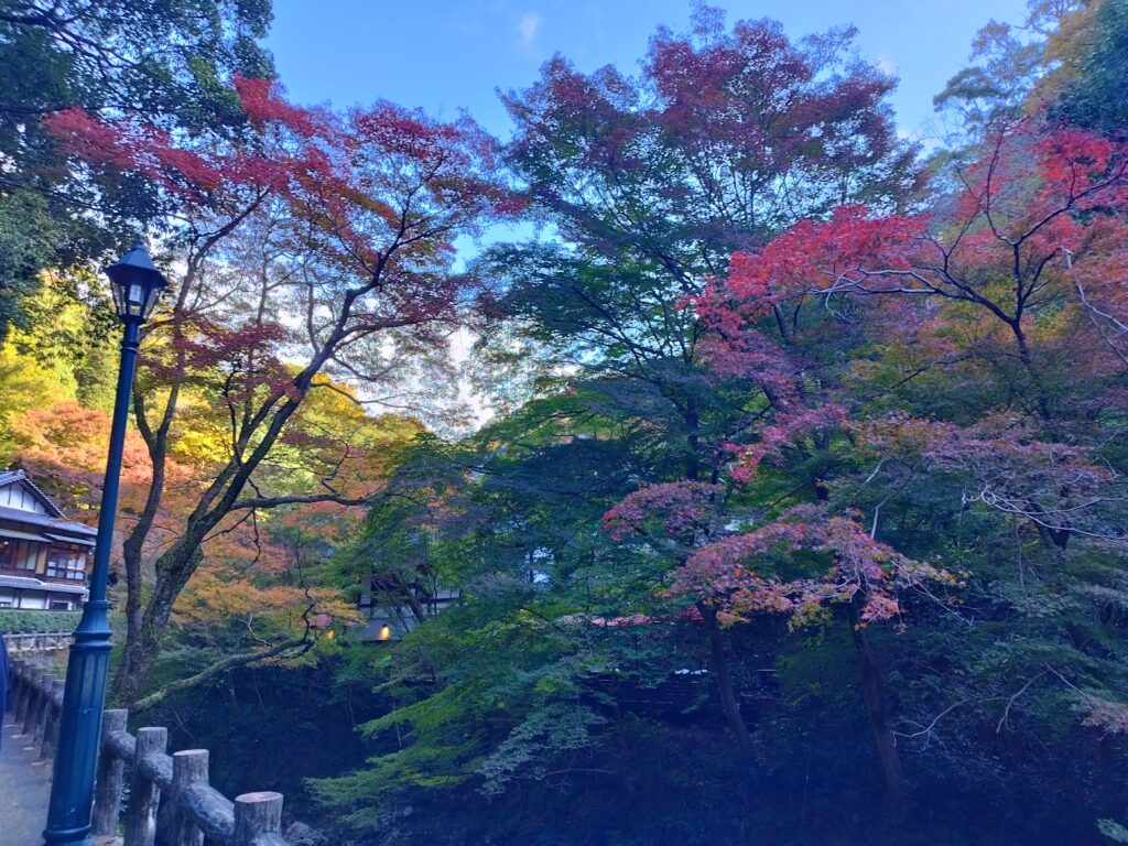 箕面大滝の紅葉