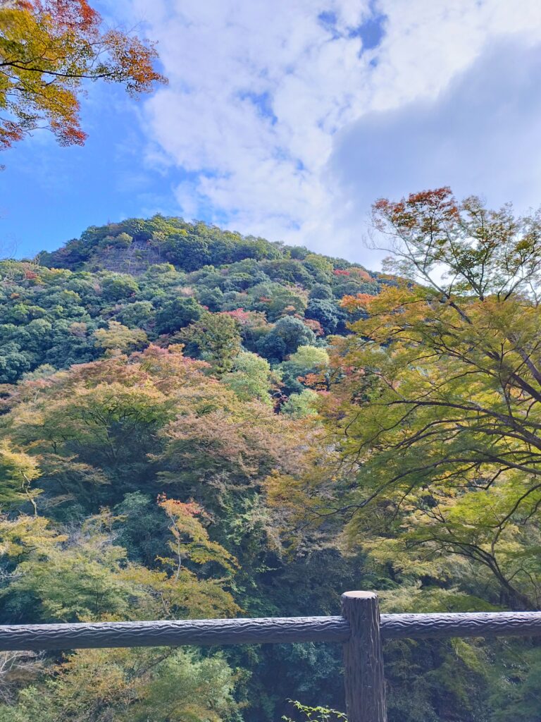 箕面大滝の紅葉