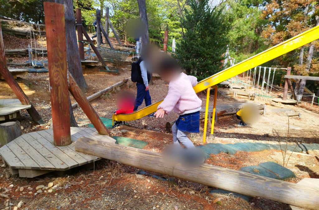 太陽が丘・冒険の森のアスレチック