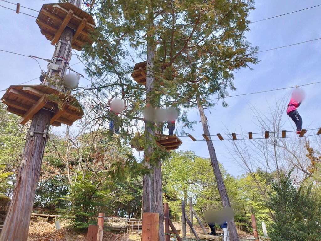太陽が丘(山城総合運動公園)のツリートップアドベンチャー