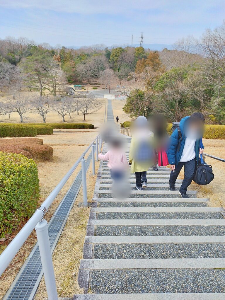 太陽が丘・遊びの森へ続く階段