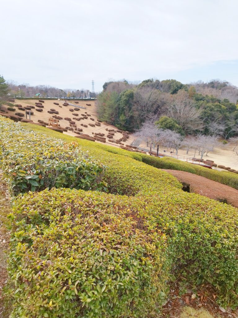 太陽が丘(山城総合運動公園)