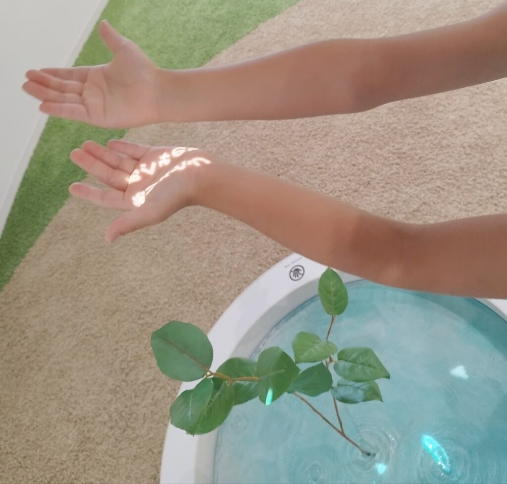 セネガル「水たまりの家」(自然環境ゾーン)