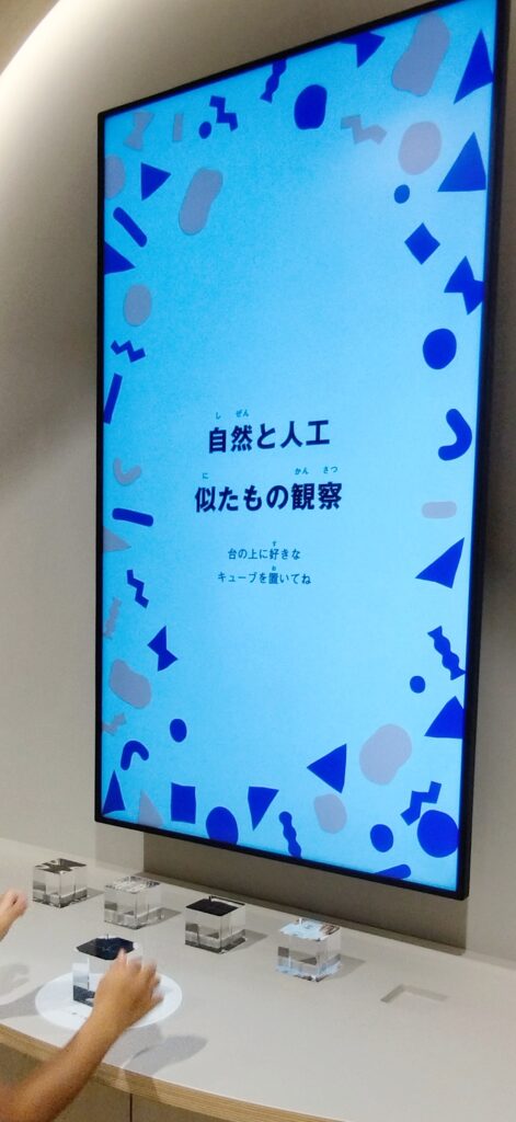 自然と人工似たもの観察(自然環境ゾーン)