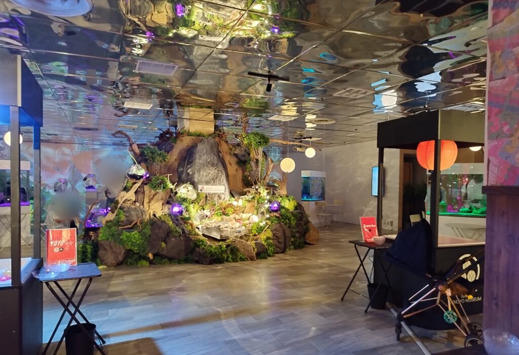 奈良金魚ミュージアムの展示