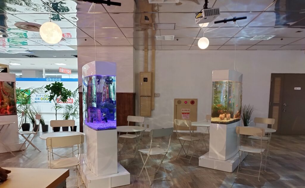 奈良金魚ミュージアムの椅子