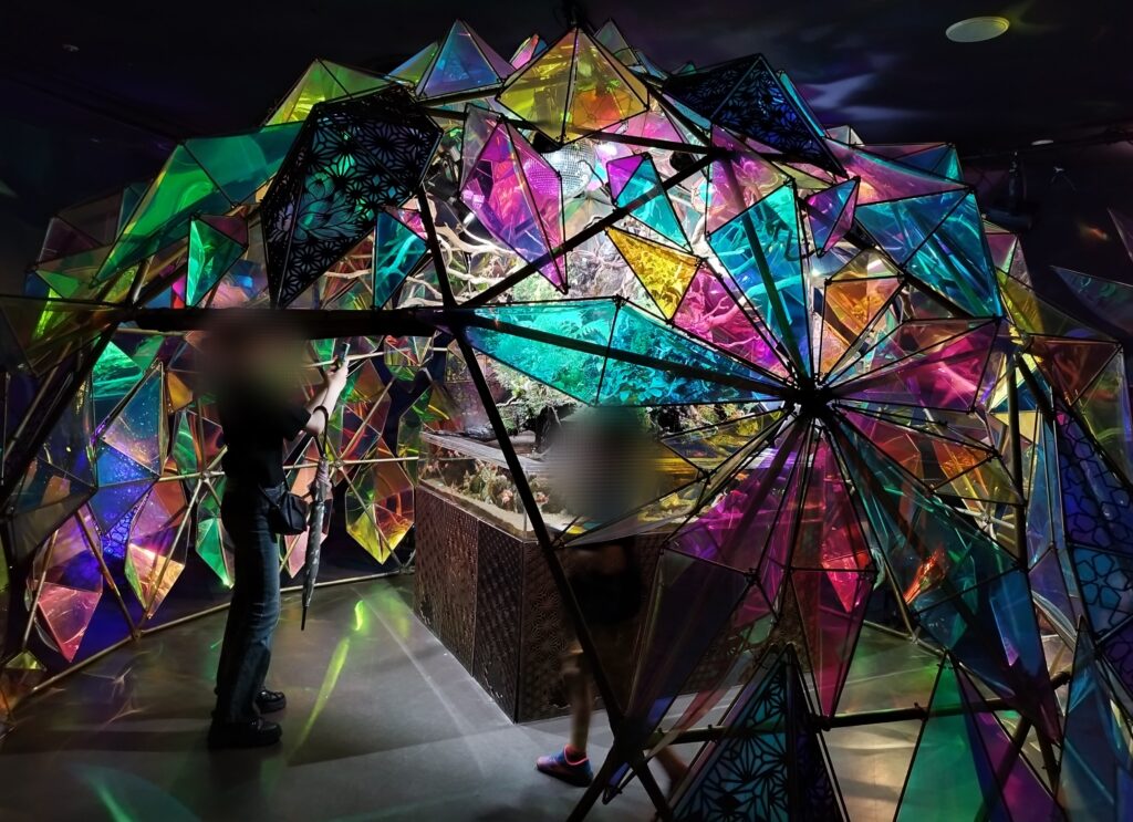 奈良金魚ミュージアムの展示