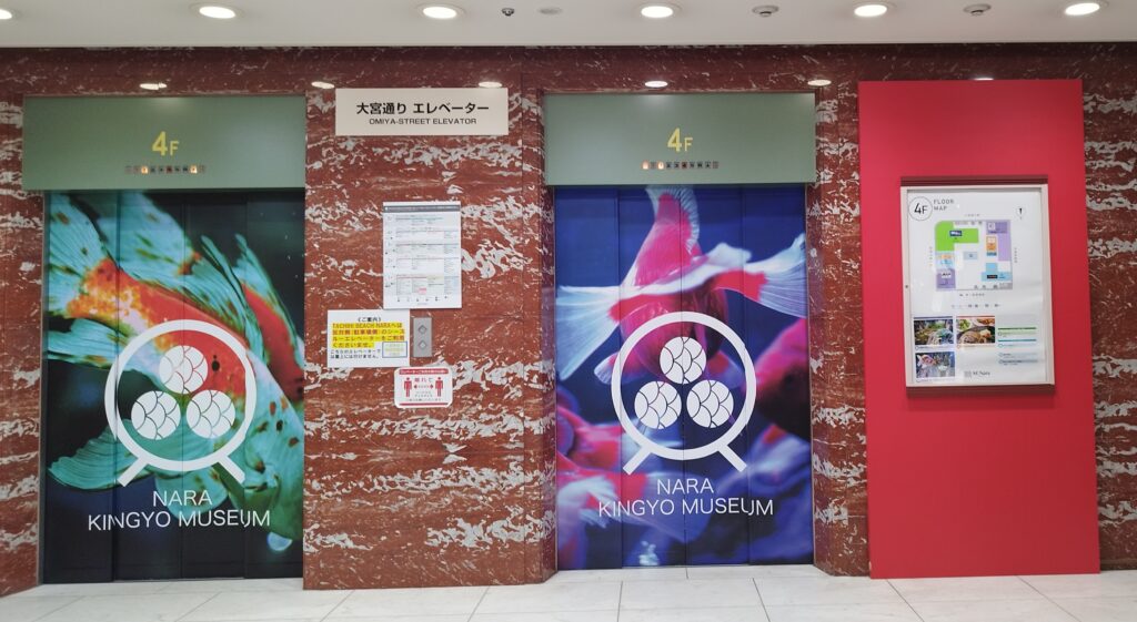 金魚デザインのミ・ナーラ　エレベーター