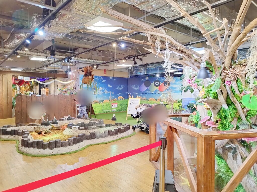 いきものミュージアムの展示「のそのそ」ゾーン