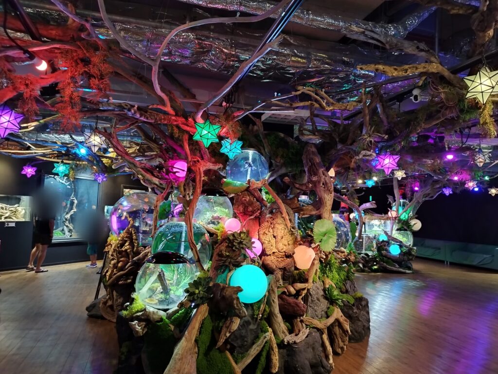 いきものミュージアムの展示「しとしと」ゾーン いのちの木