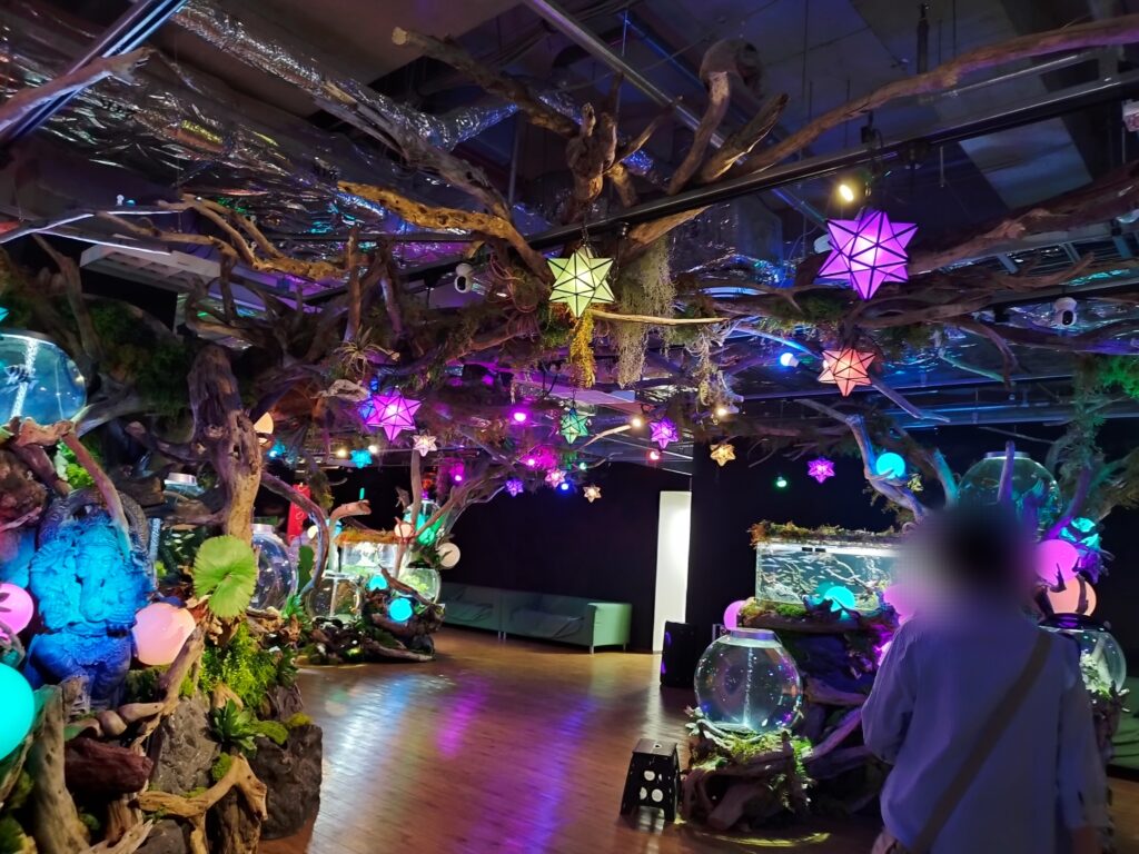 いきものミュージアムの展示