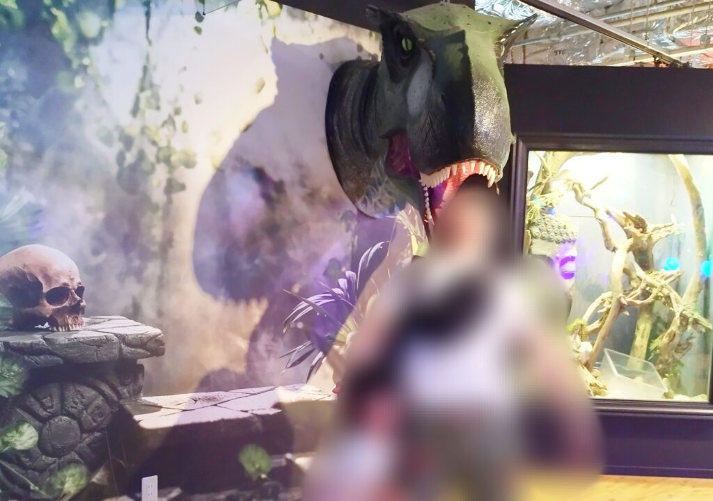 いきものミュージアム 大きく口を開いた恐竜の頭のオブジェ