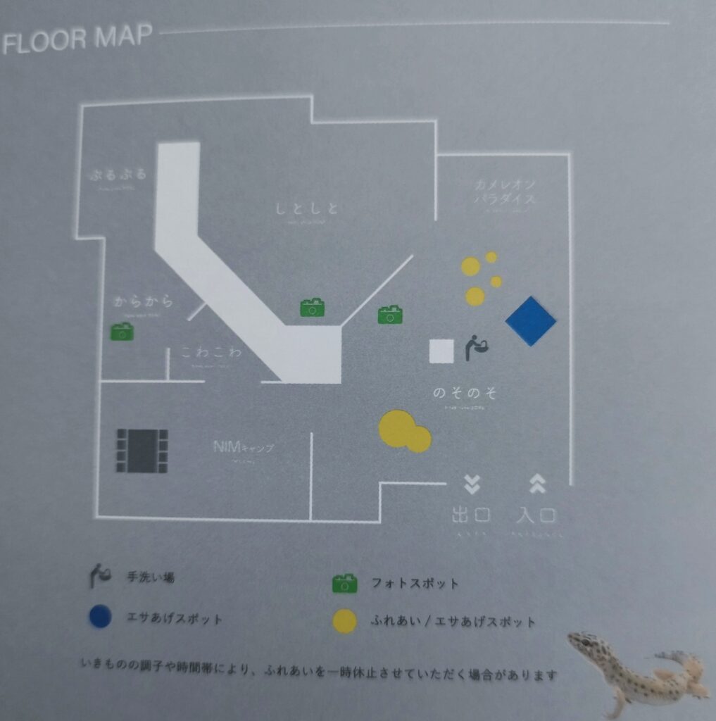 いきものミュージアム フロアマップ