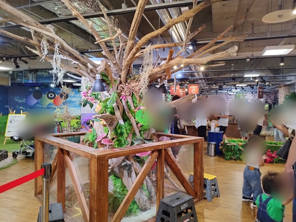 いきものミュージアムの展示(流木アート)