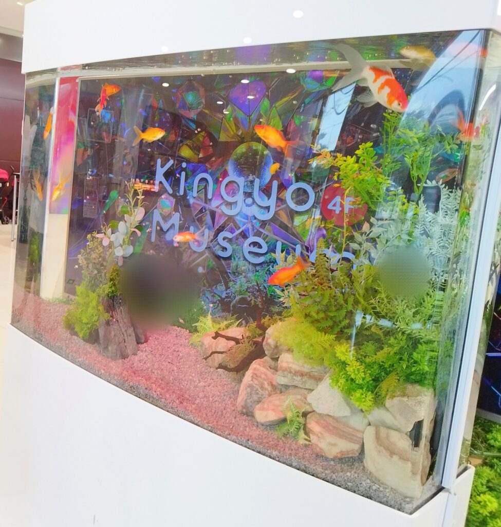 ミ・ナーラ１階の水槽
